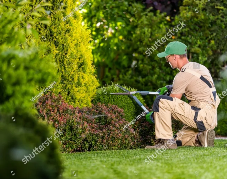 Landscaping and Garden